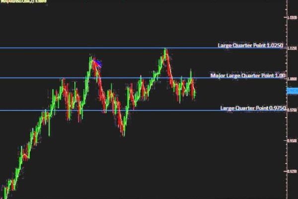 Option Trading Low Brokerage App for Traders